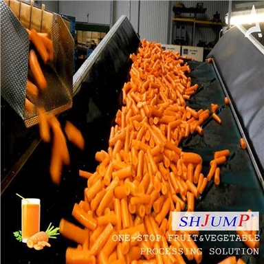 ニンジン加工ライン