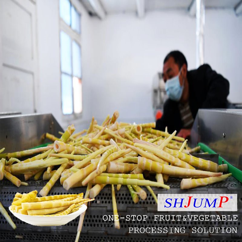 タケノコ加工ライン