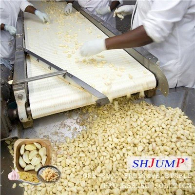 ニンニク加工ライン